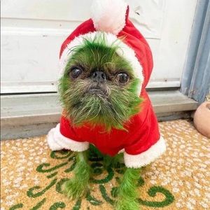 Meet your Posher, Alexa